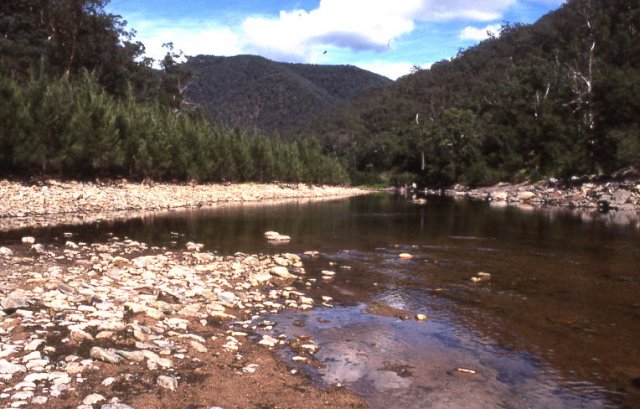 Cox's river